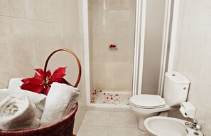 Shower, bidet, towels