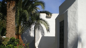 A white building with a window and a door, surrounded by greenery and a palm tree.