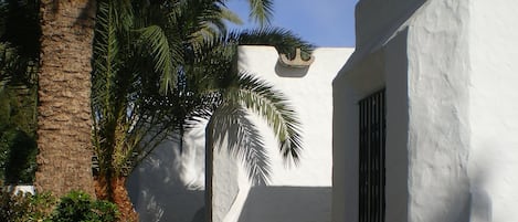 Jardin