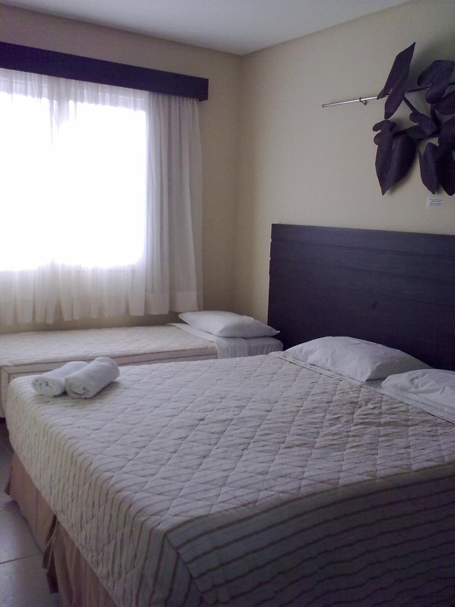 Une chambre d’hôtel avec deux lits, une grande fenêtre avec des rideaux légers et une plante décorative accrochée au mur.