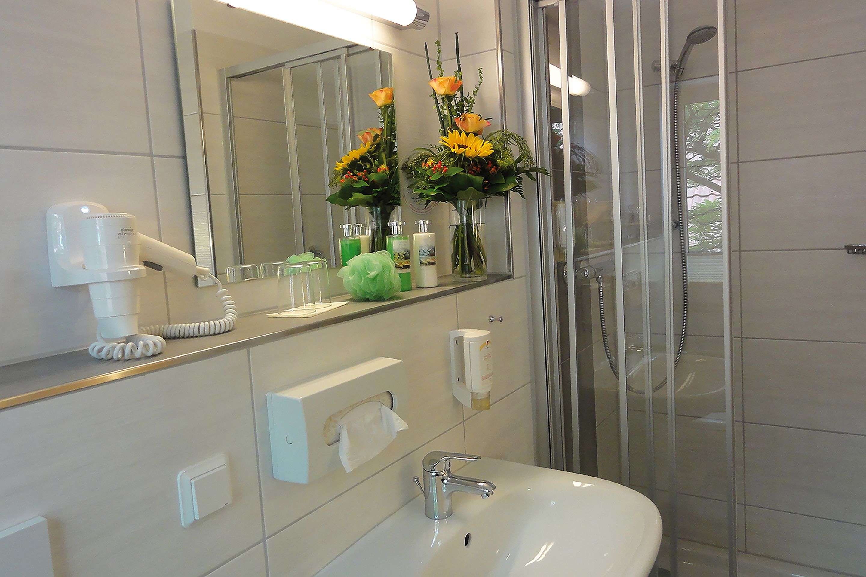 shower, free toiletries, hair dryer, towels