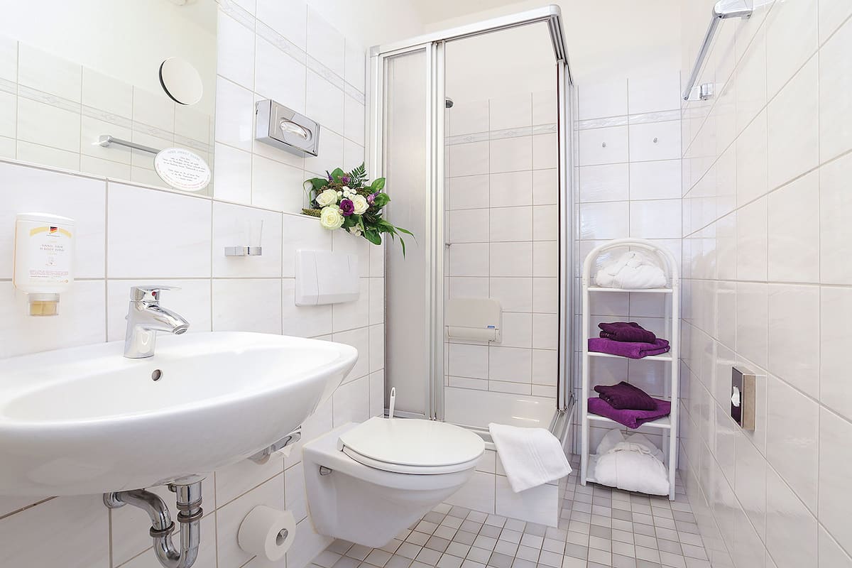 shower, free toiletries, hair dryer, towels