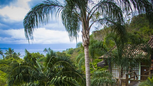 A lush garden with a stone staircase leading to a wooden deck, surrounded by dense tropical foliage and a building with a tiled roof. - Porto Pousada Saco da Capela (Ilhabela)