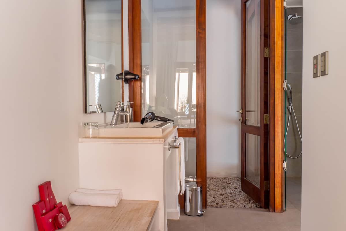 shower, free toiletries, hair dryer, towels