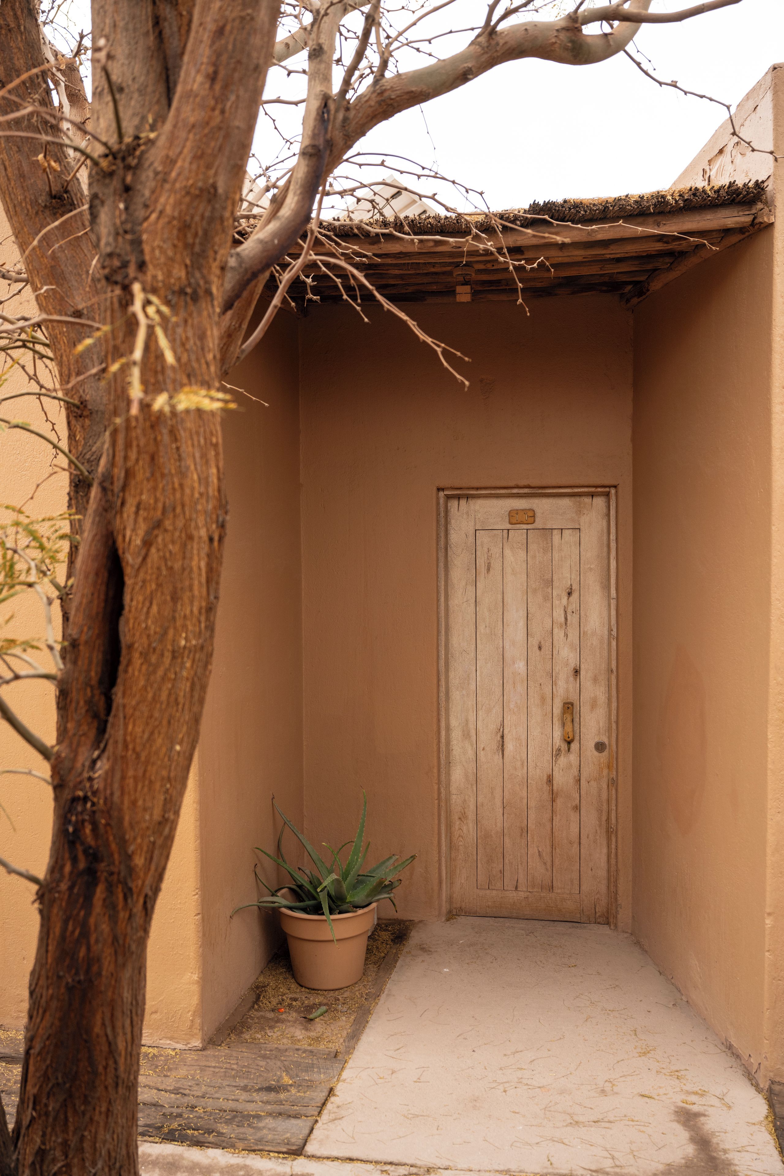 Un sendero estrecho que lleva a una puerta de madera, con una pequeña planta en maceta a un lado.