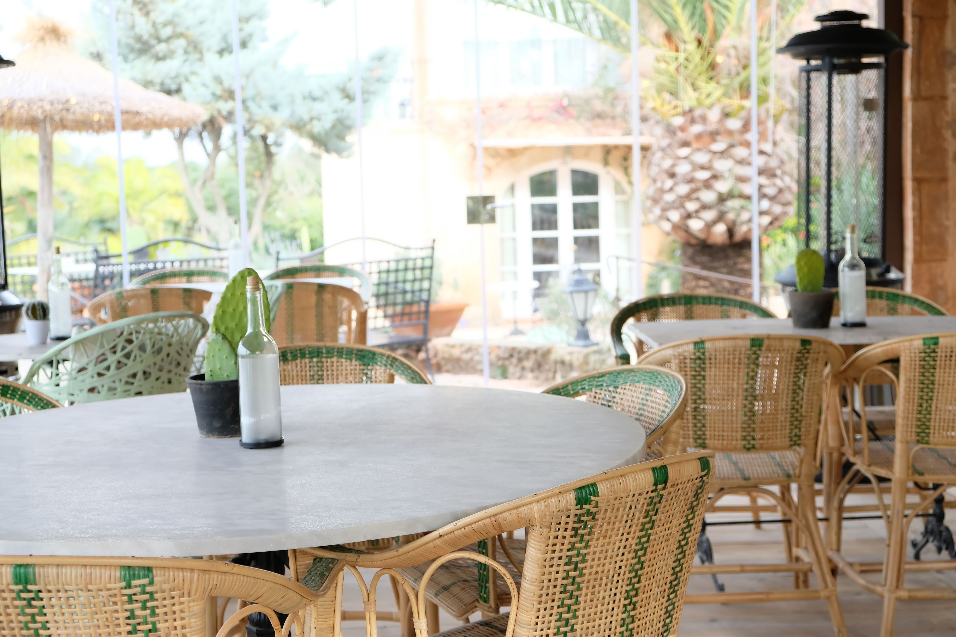 An outdoor dining area with wicker chairs and tables, a cactus in a vase, and a view of a building and trees.