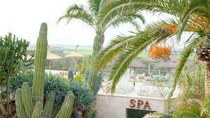 A desert garden with cacti and palm trees, a thatched-roof structure, and a sign reading "SPA". - Hotel Rural Es Turó (Ses Salines)
