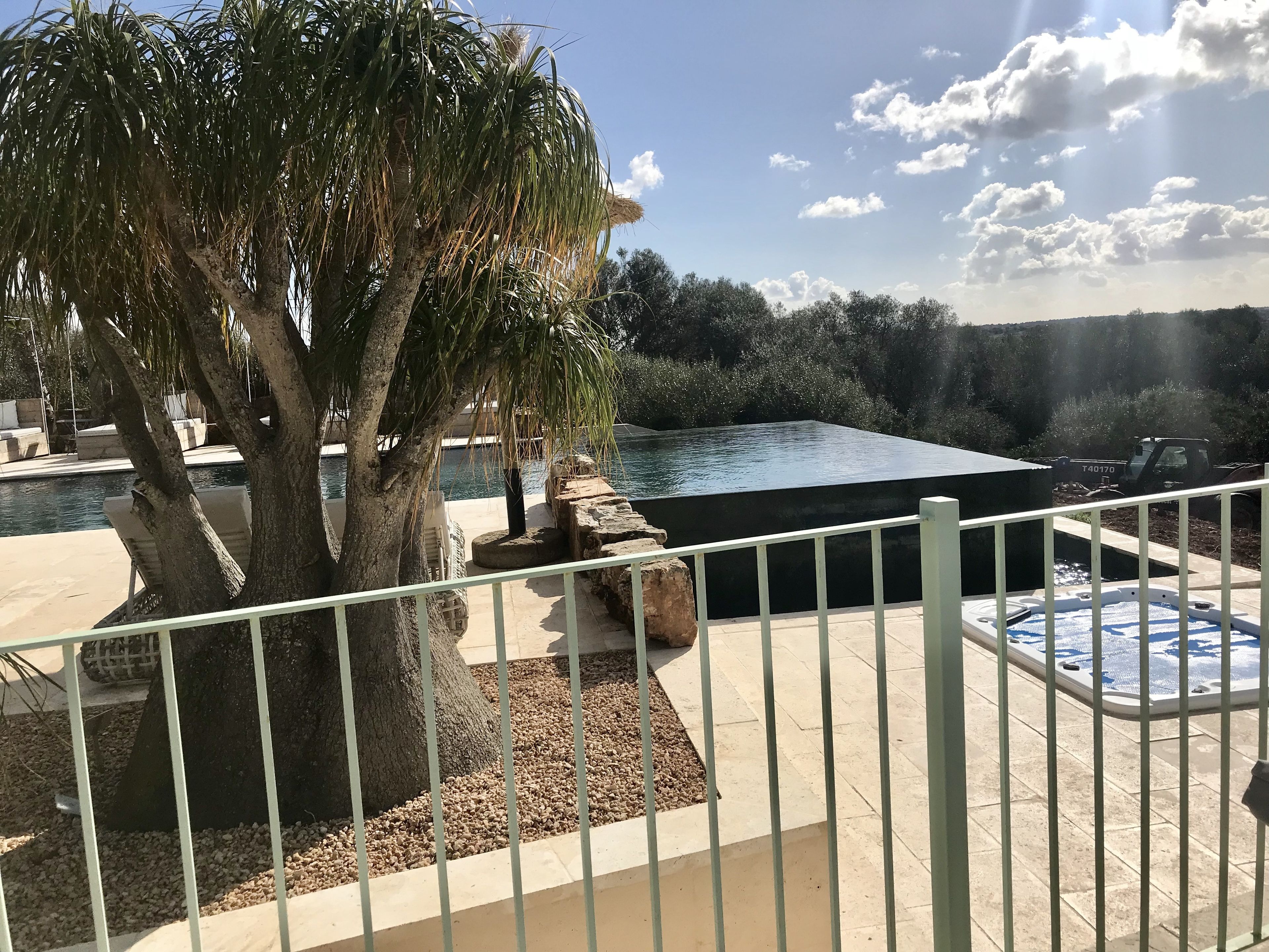 A pool area with a large tree, a hot tub, and a view of the surrounding landscape.