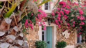 A stone building with a green door, surrounded by potted plants and pink flowers. - Hotel Rural Es Turó (Ses Salines)