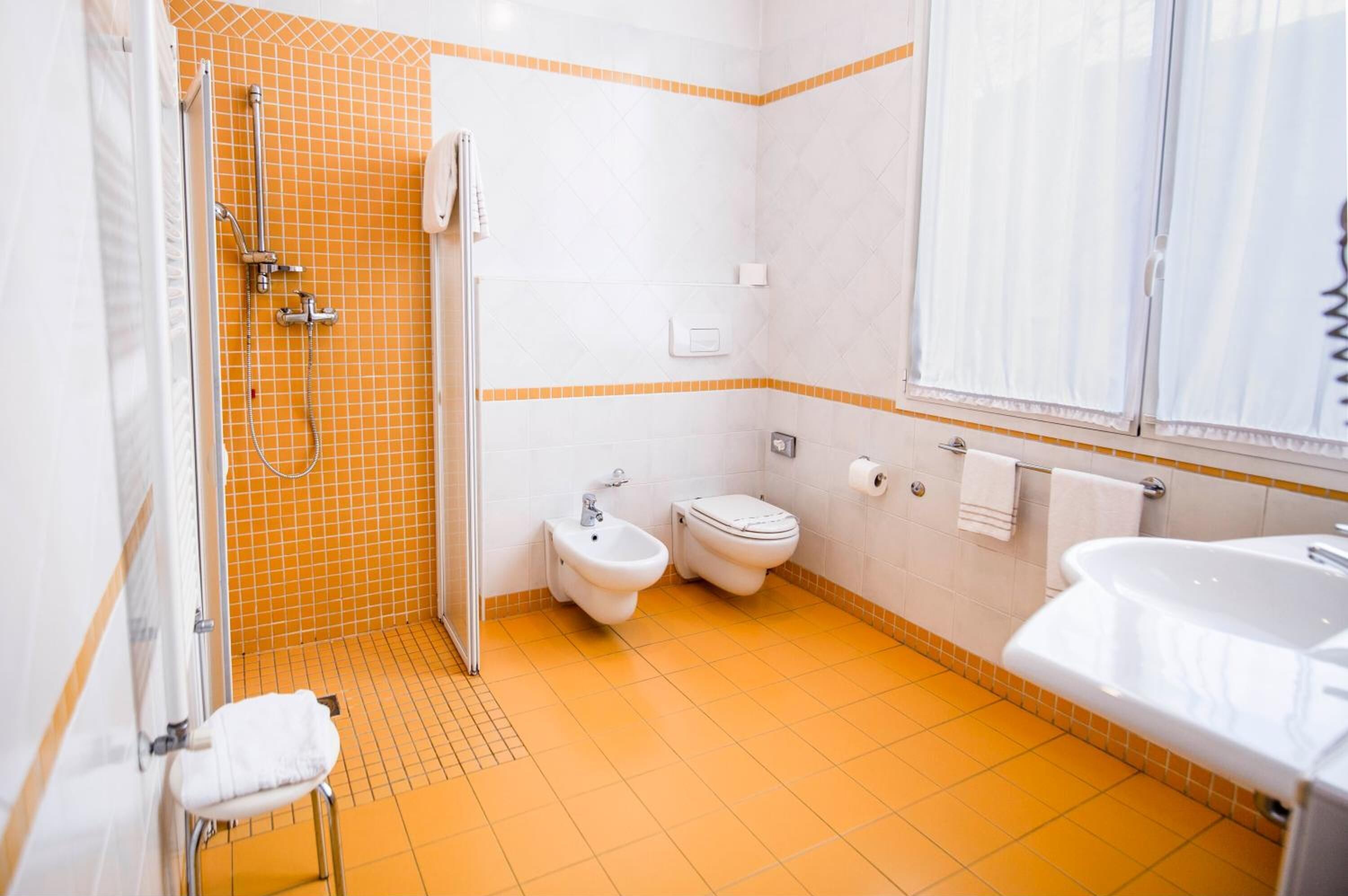 free toiletries, hair dryer, slippers, bidet