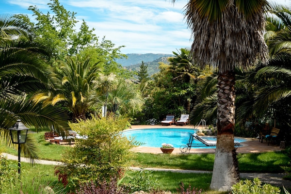 Pinot Grigio | Fachada