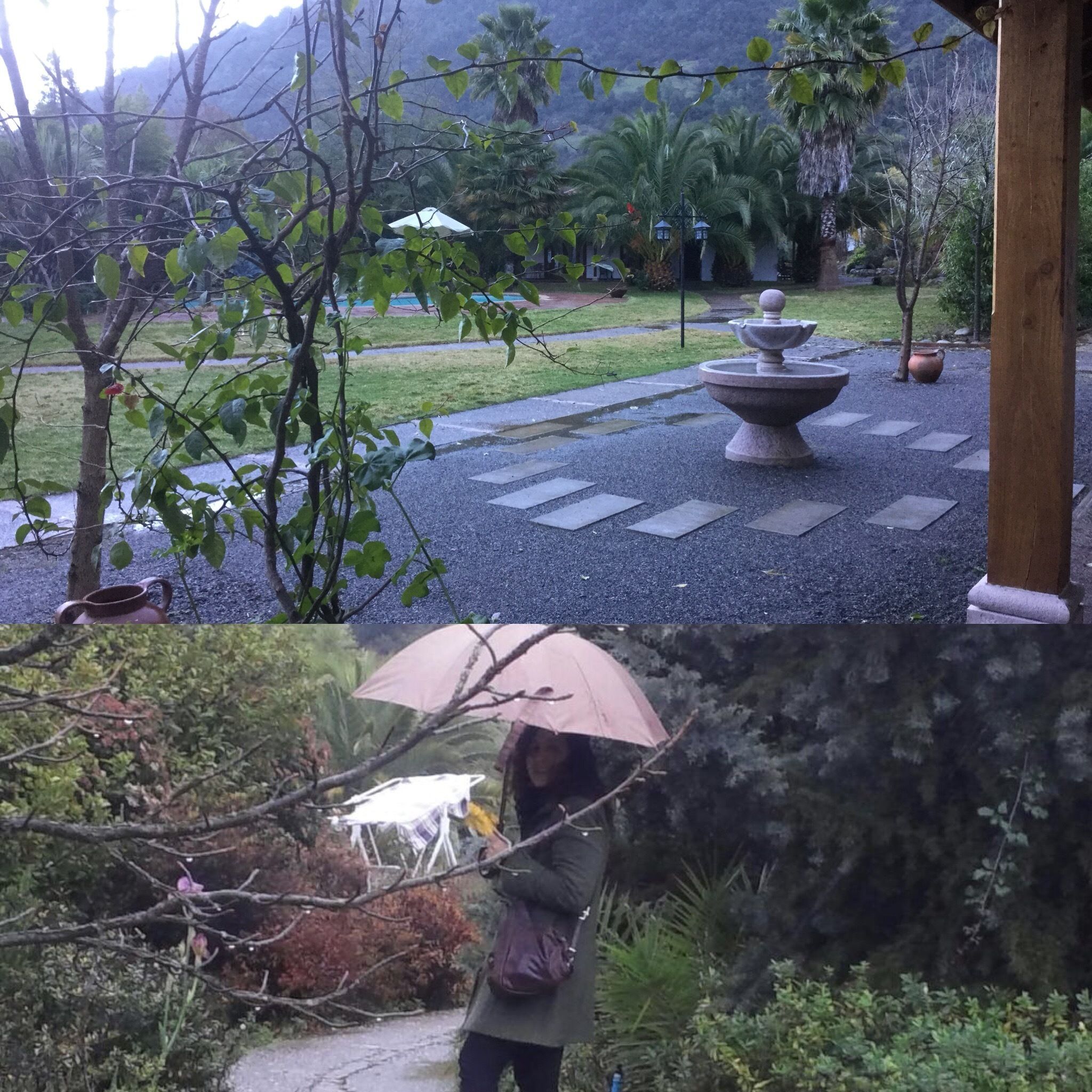 superior room | view from room