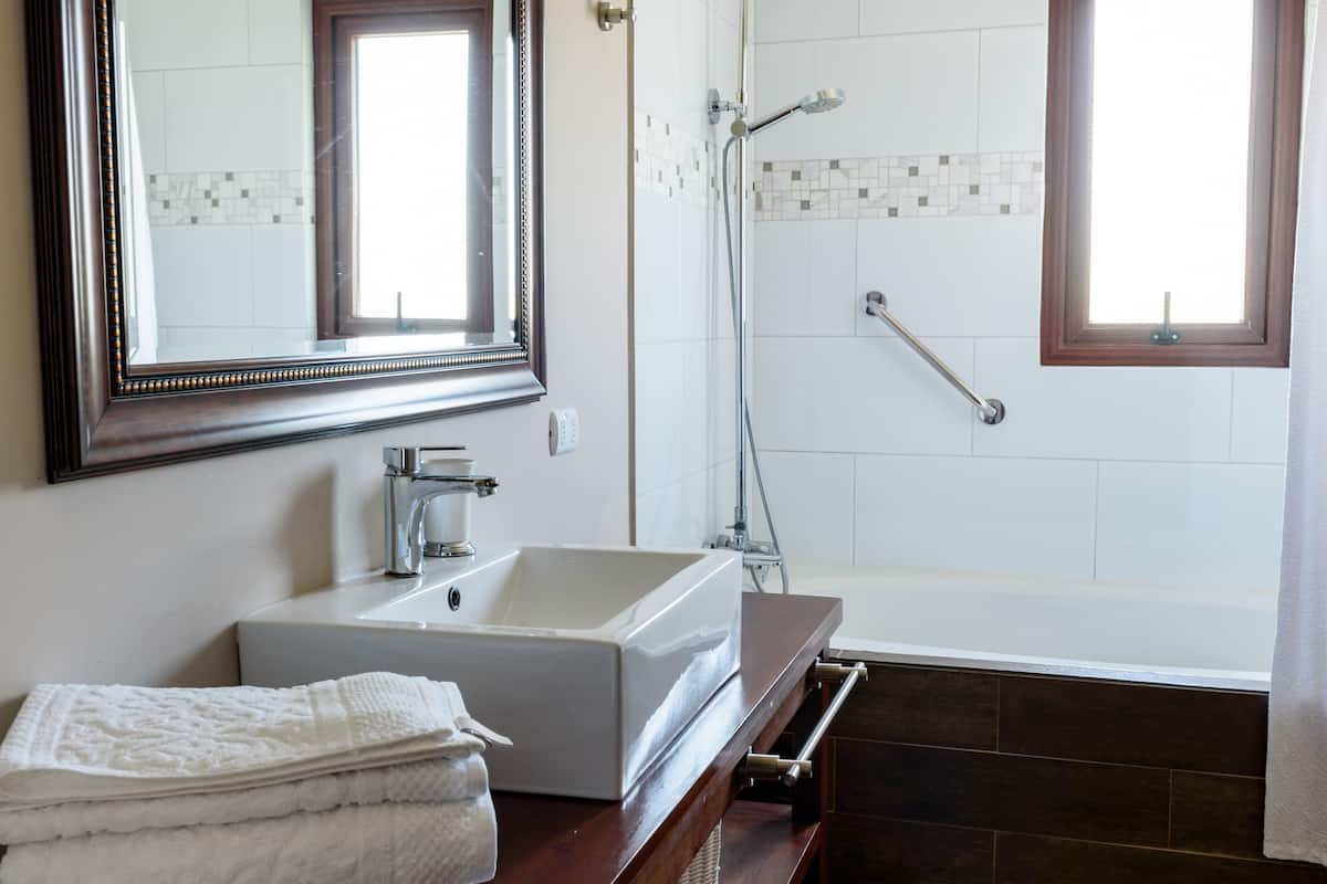 hair dryer, towels, shampoo, toilet paper