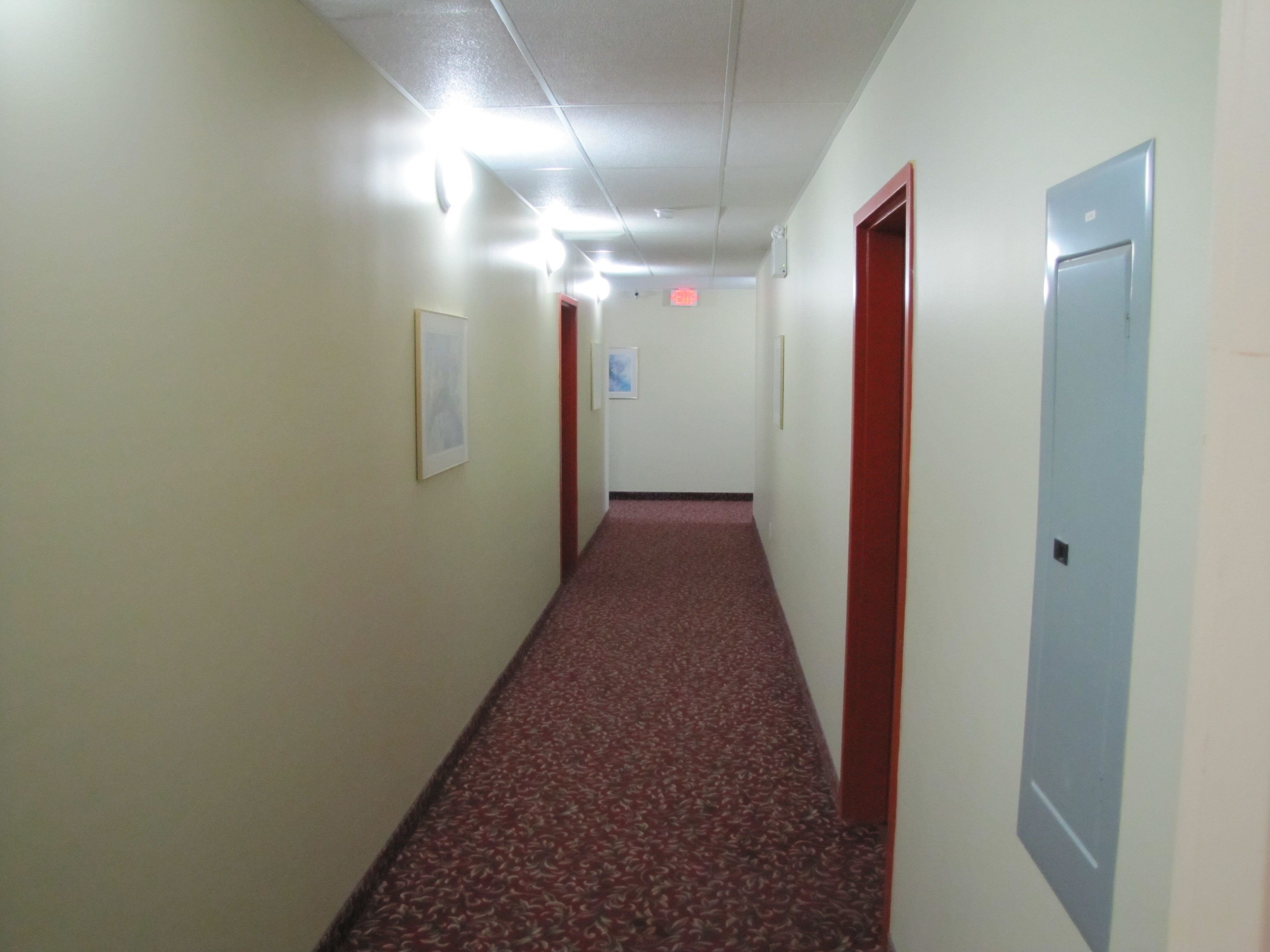 A hallway with carpeted floors, white walls, and doors on both sides.