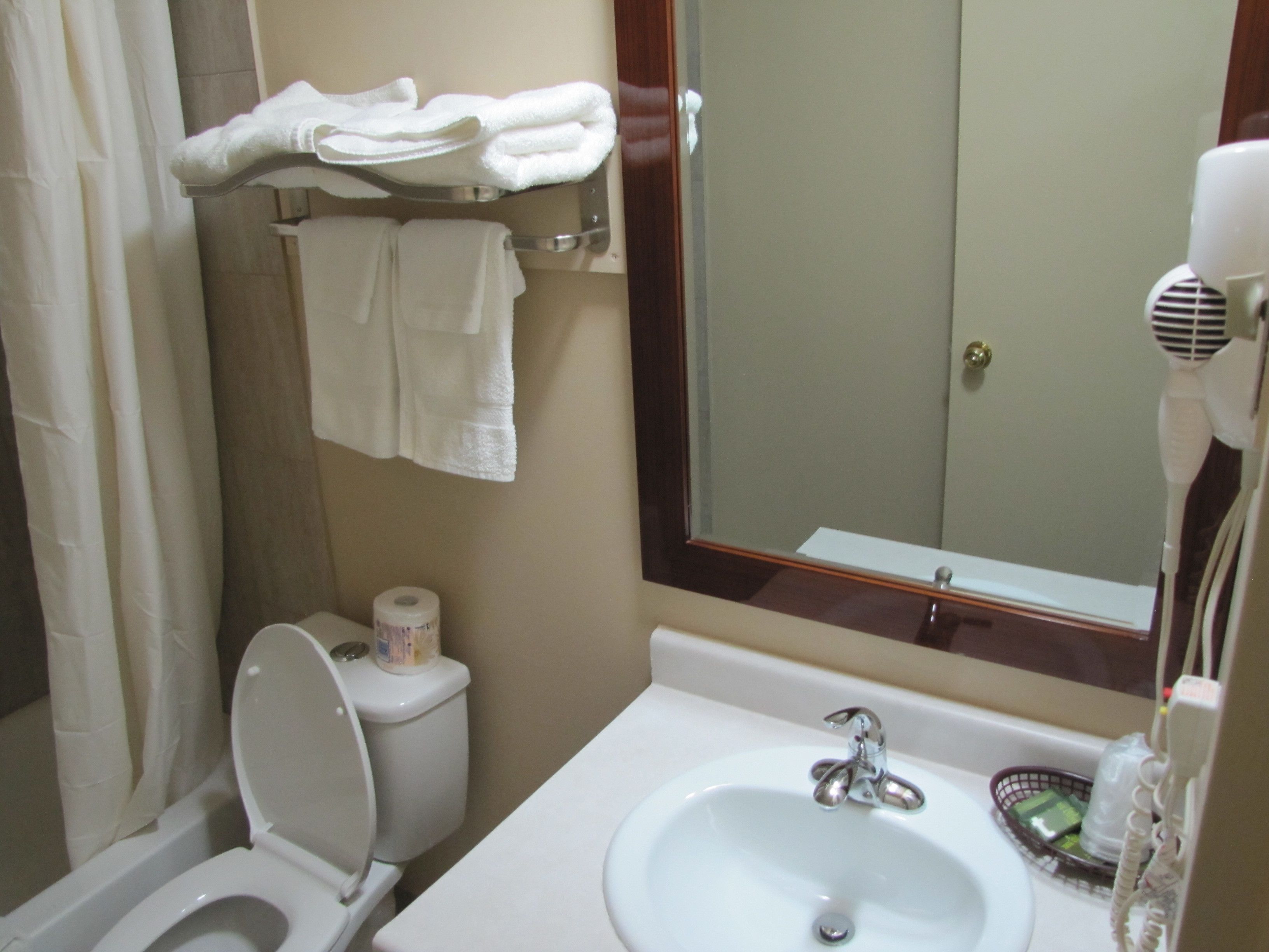 A bathroom with a toilet, sink, and a mirror.