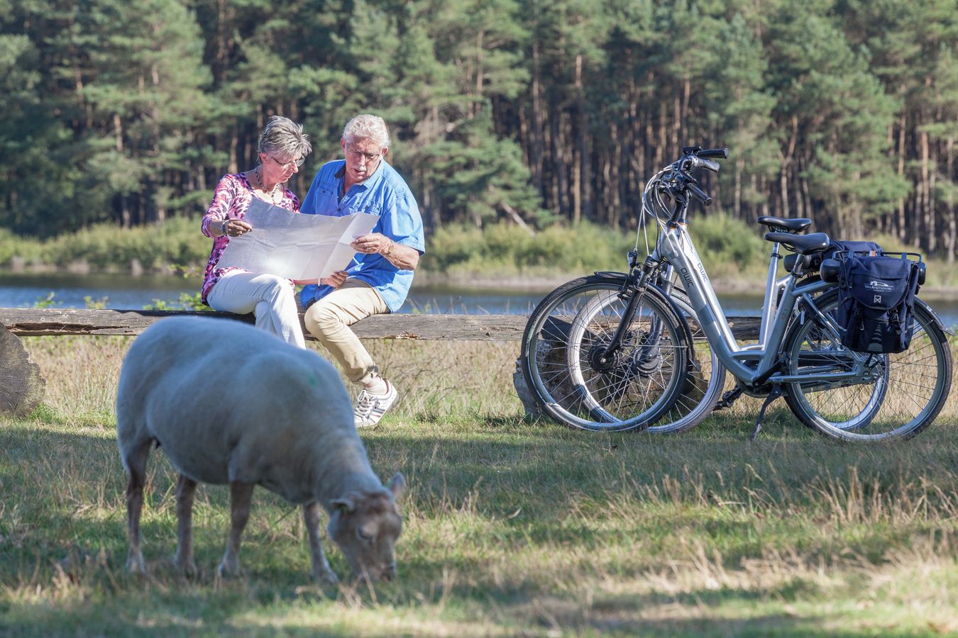 Twee personen zitten op een bank met een kaart, een fiets met een tas, en een schaap dat in de voorgrond graast.