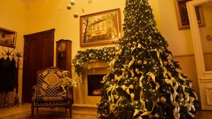 A traditional living room with a Christmas tree, a fireplace, and classic furnishings. - Chopin Hotel (Lviv)