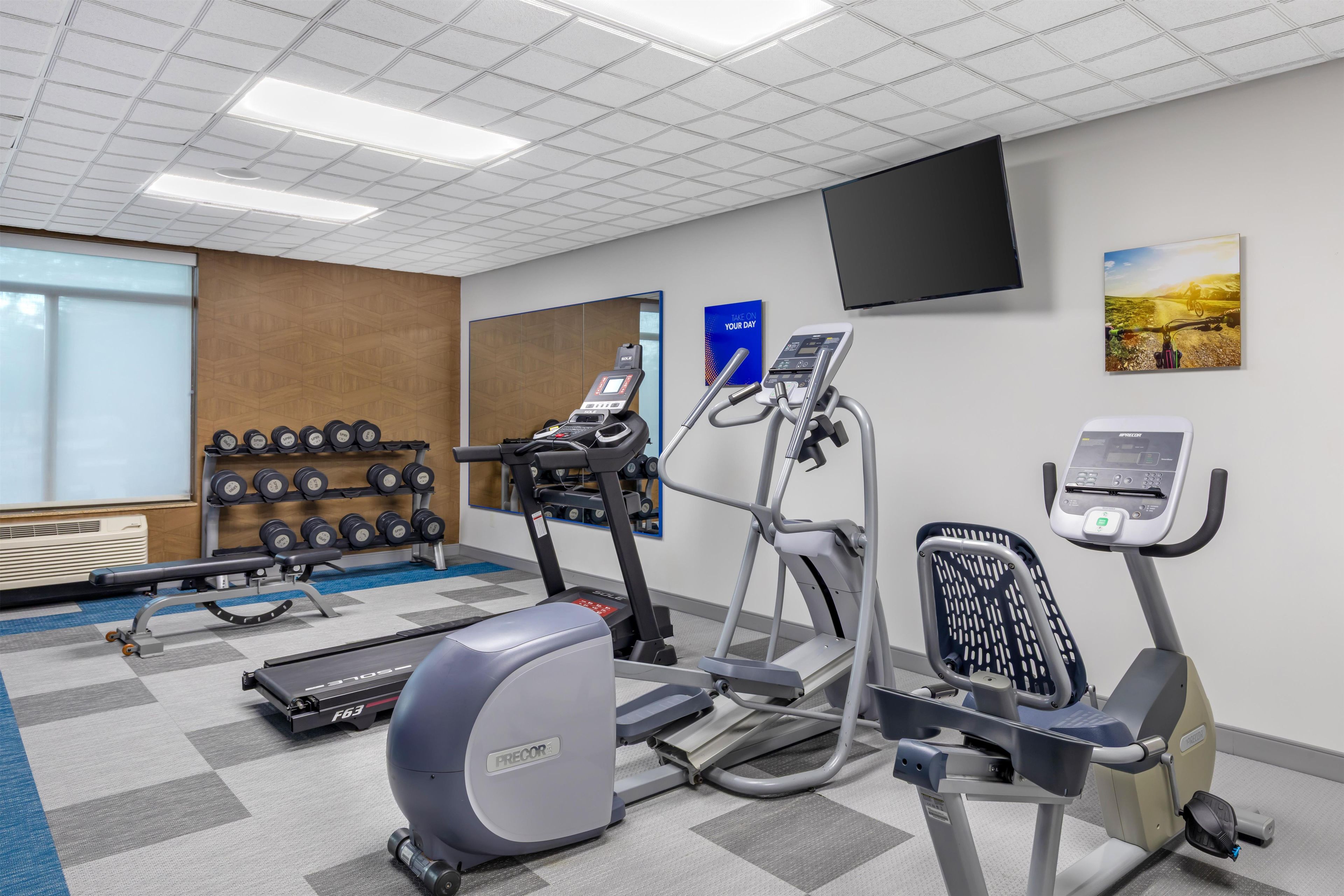 A gym with treadmills, elliptical machines, and free weights.