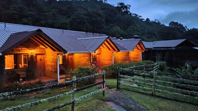 Tree Trek Boquete Adventure Park