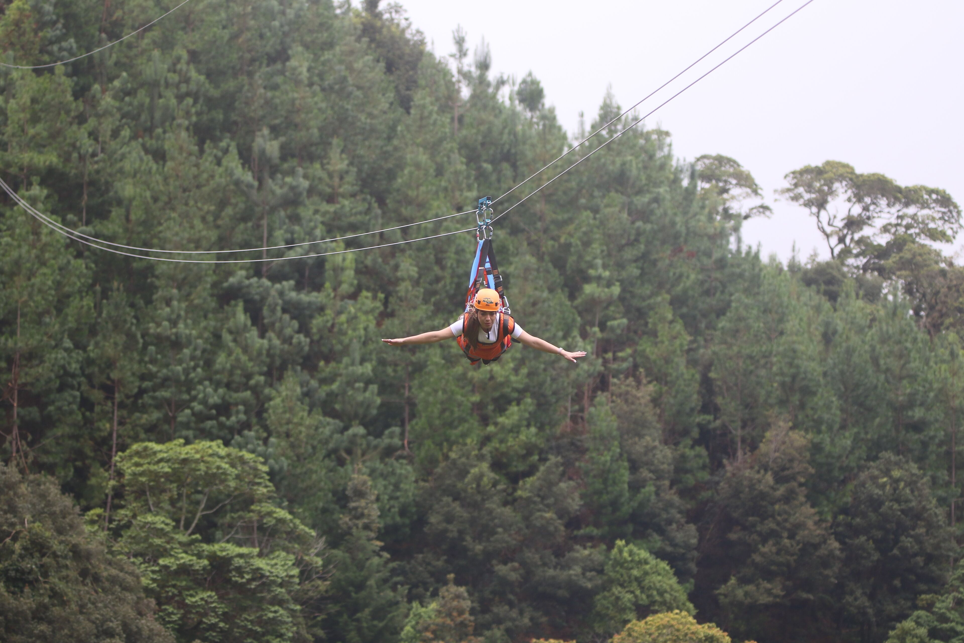 A person suspended in mid-air, wearing a helmet and harness, with a forested background.