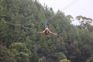 A person suspended in mid-air, wearing a helmet and harness, with a forested background.