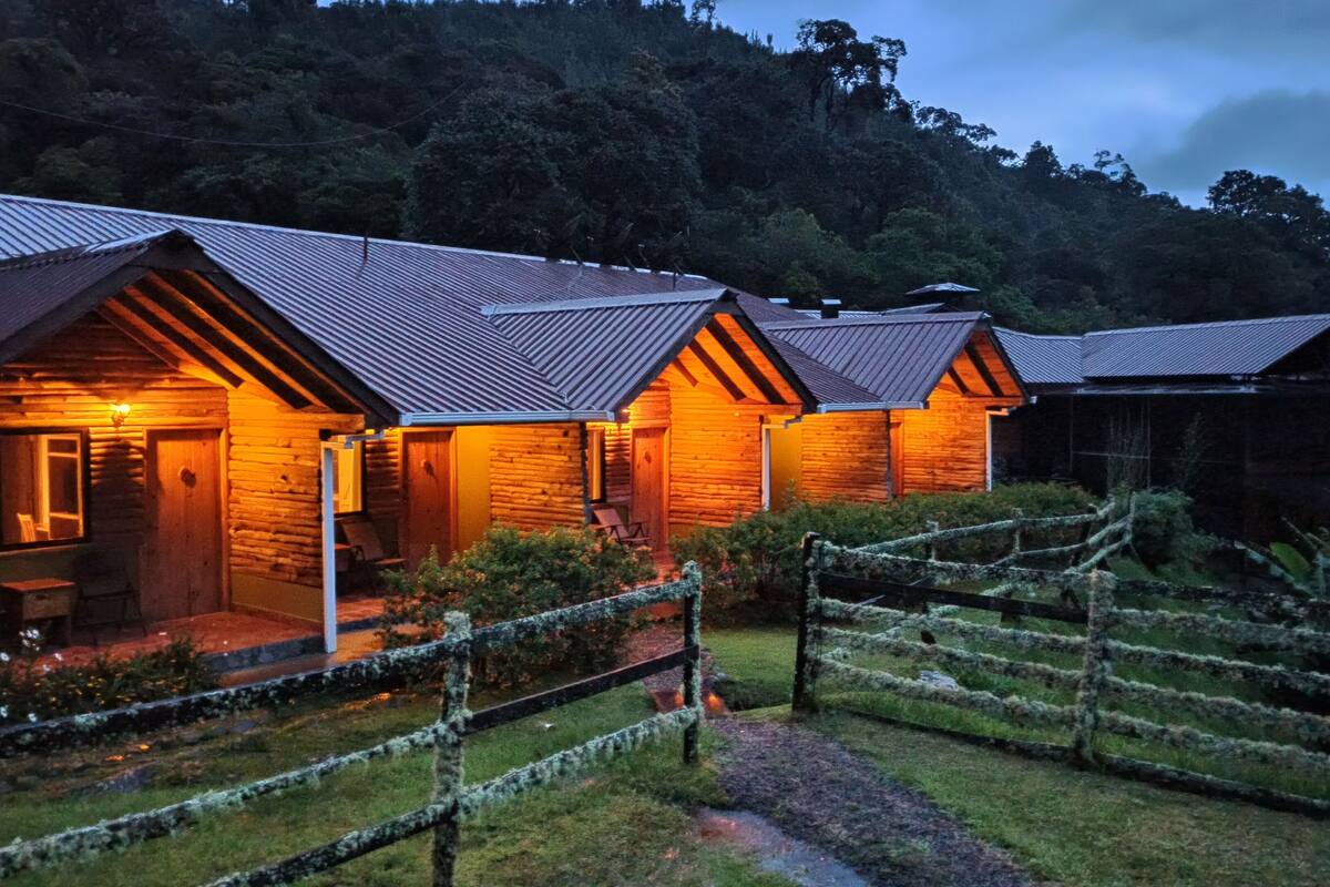 Premium bedding, down duvets, minibar, in-room safe