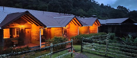 Literie de qualité, couette en duvet, minibar, coffre-fort