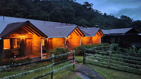 Premium bedding, down duvets, minibar, in-room safe