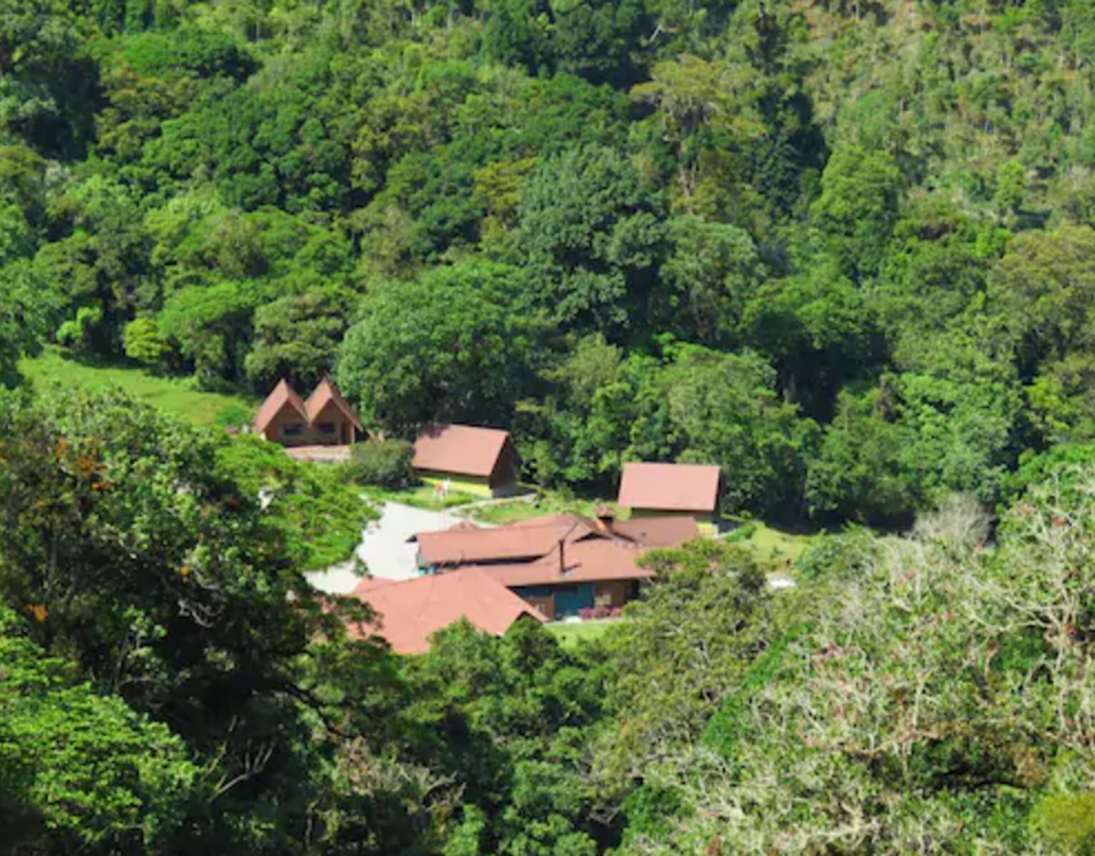 A cluster of traditional houses surrounded by dense forest.