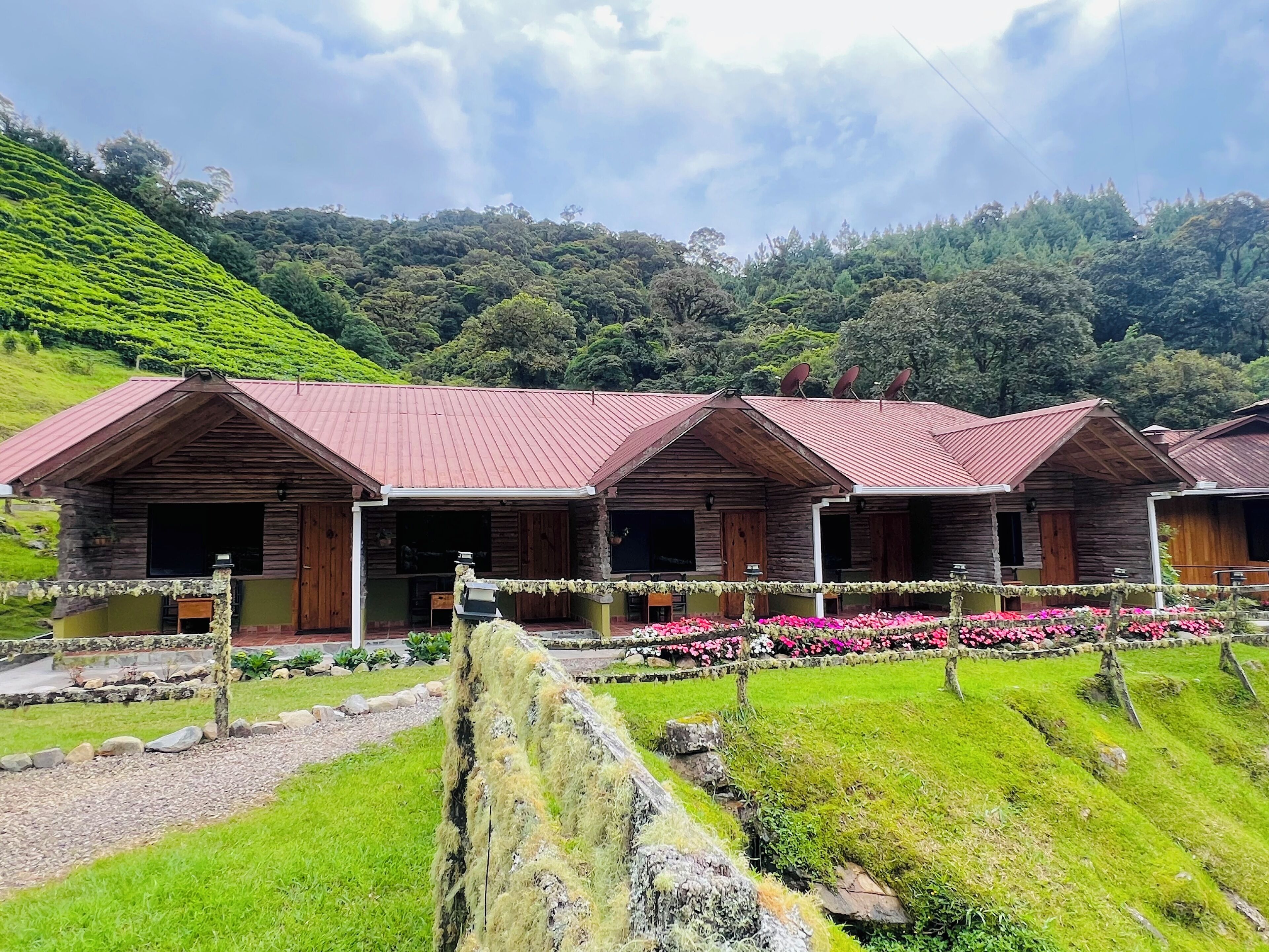A row of wooden cabins with red roofs, surrounded by lush greenery and a hillside.