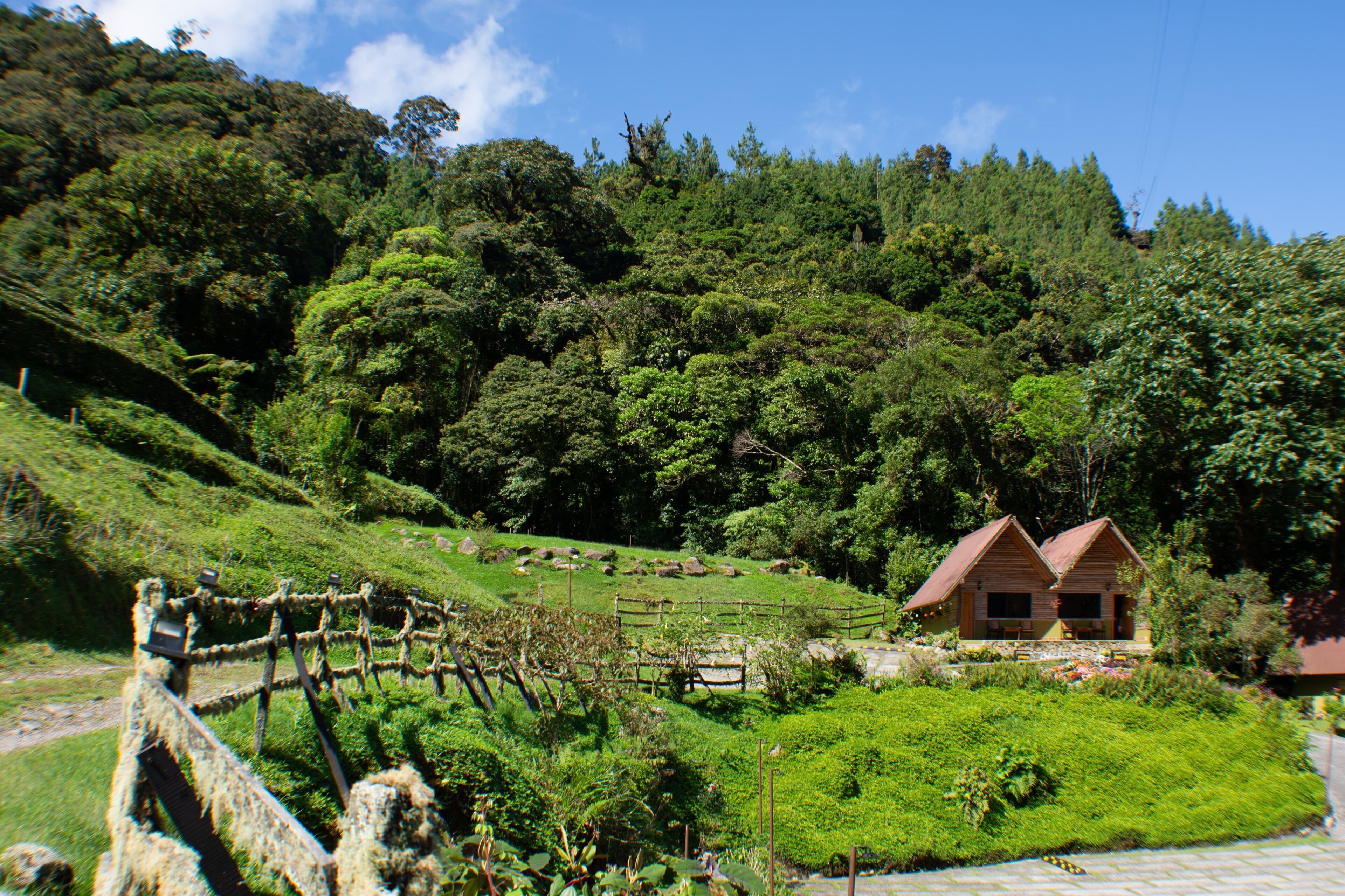 A rustic wooden house with a red roof, surrounded by lush greenery and a stone wall.