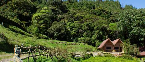 A rustic wooden house with a red roof, surrounded by lush greenery and a stone wall.