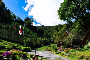Fachada de la propiedad