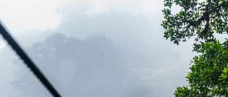 A person walking on a suspension bridge surrounded by dense forest and mist.