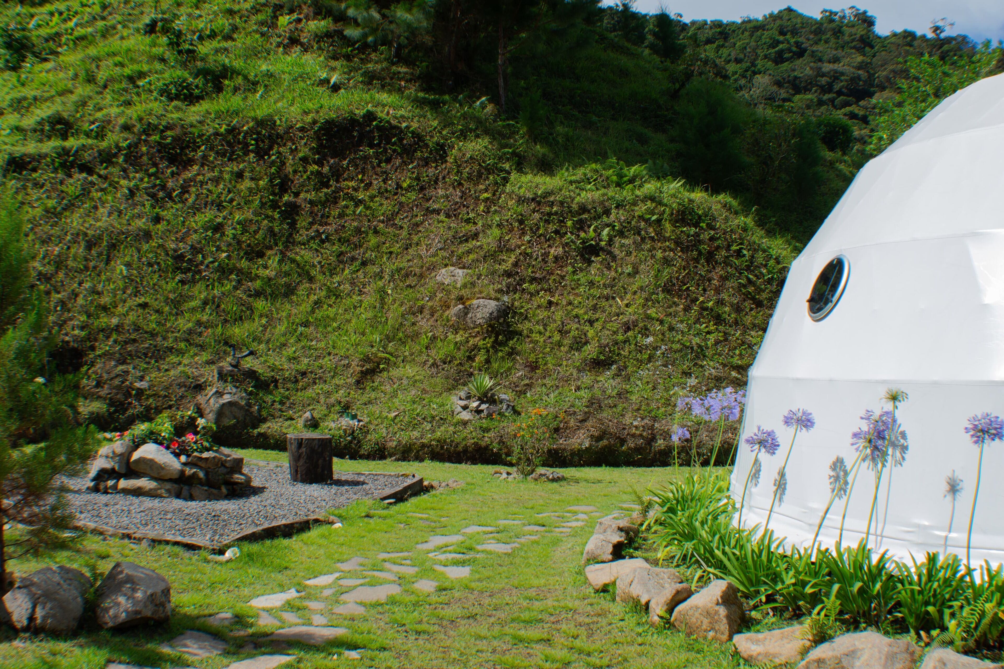 Una estructura en forma de cúpula blanca rodeada por un jardín con rocas, plantas y un sendero de piedra.