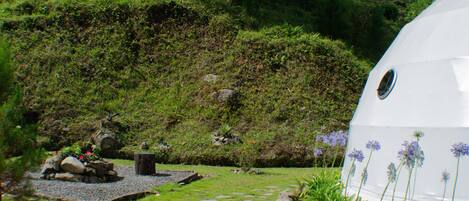 Una estructura en forma de cúpula blanca rodeada por un jardín con rocas, plantas y un sendero de piedra.