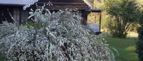 Boendeområde