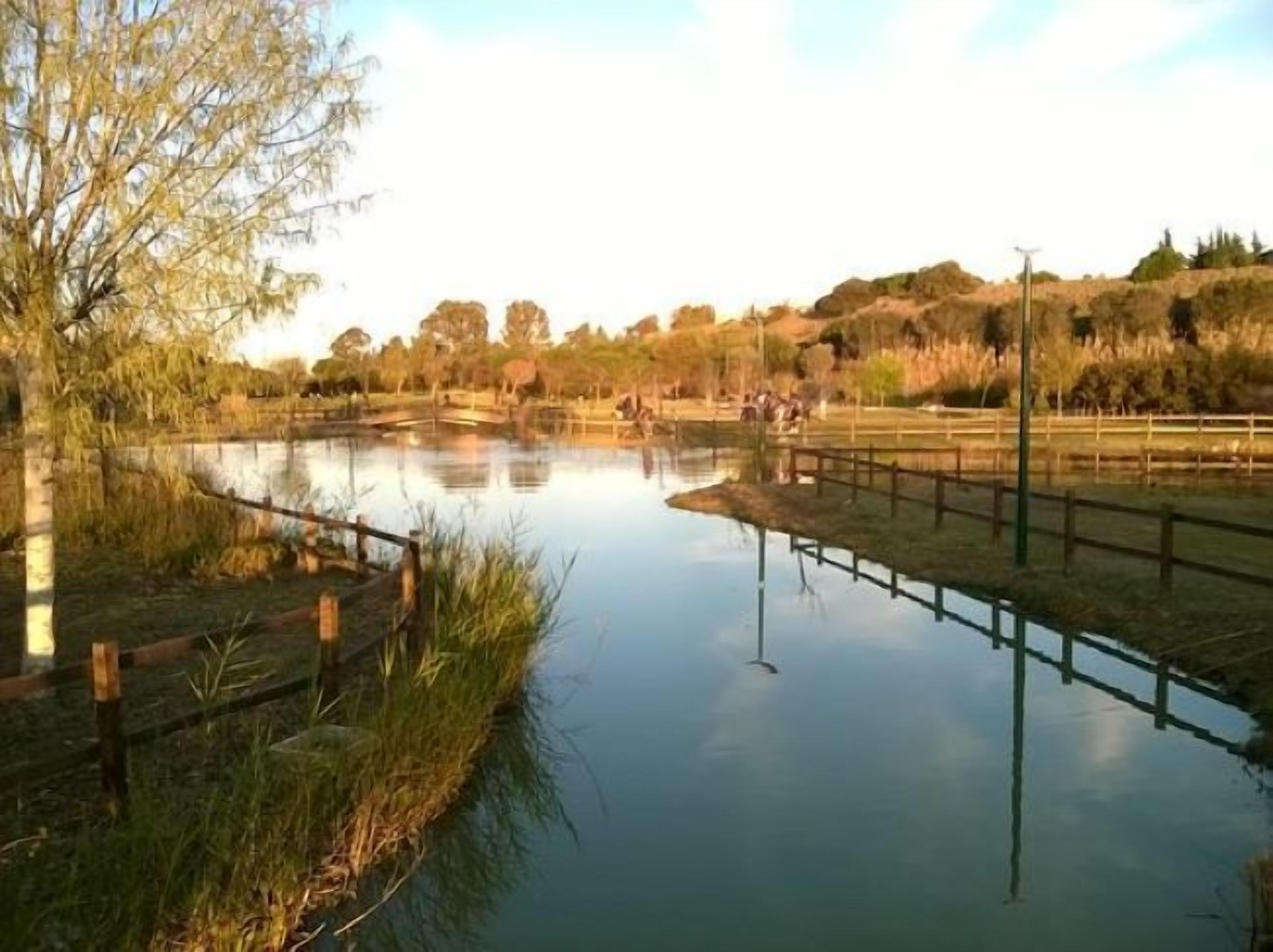 Foto - Hotel Residence Nemo