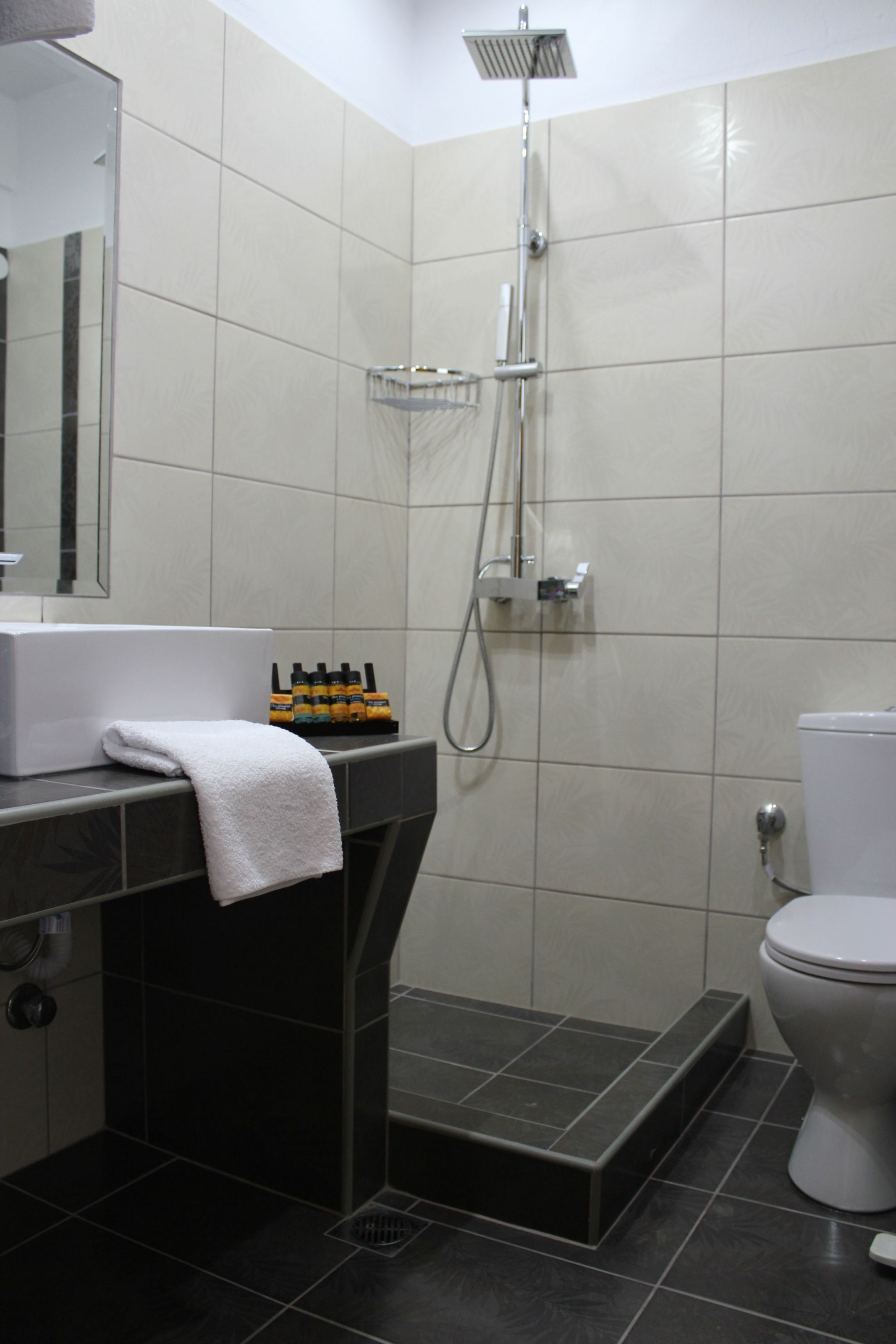 triple room | bathroom | shower, free toiletries, hair dryer, towels