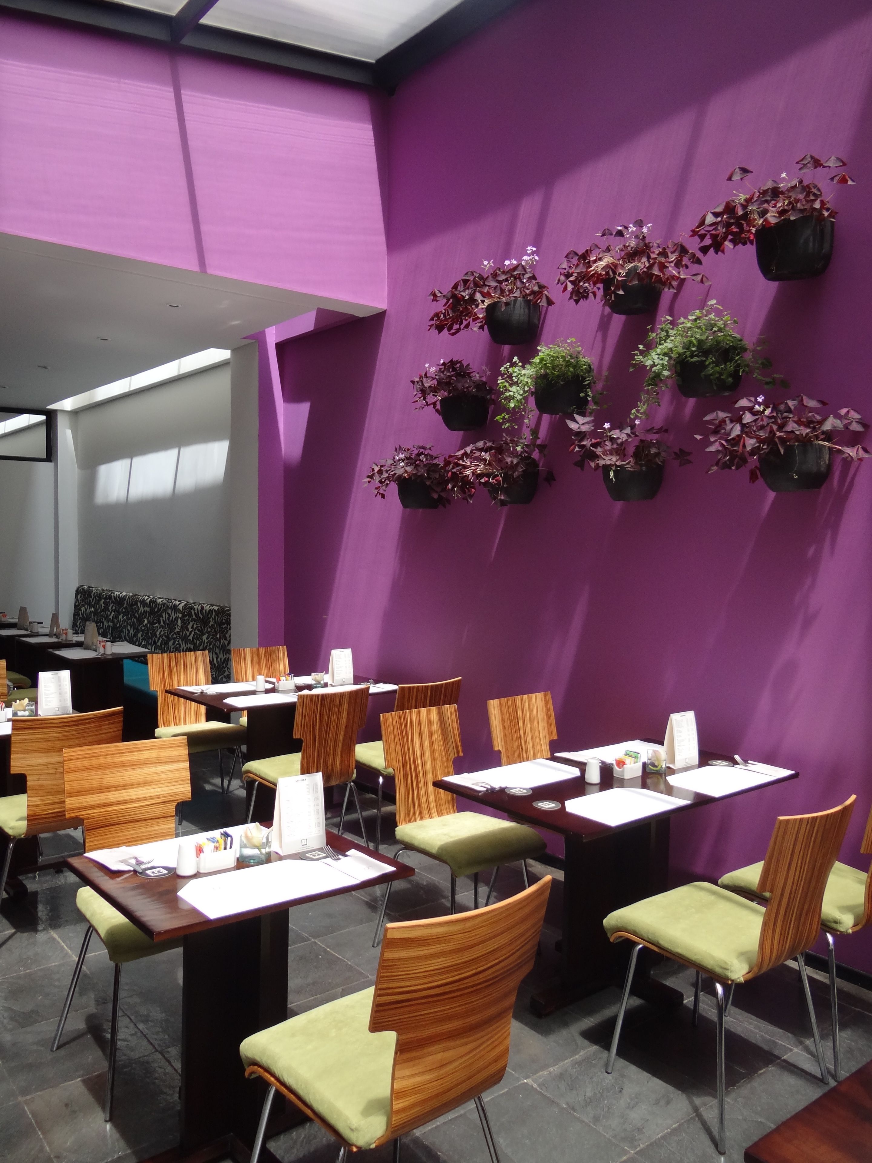 Un espace repas aux murs violets, avec plusieurs tables et chaises. Des plantes en pot sont disposées le long du mur, et un coin salon est aménagé avec un canapé à motifs.