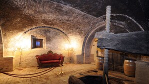 Une cave faiblement éclairée, avec des murs en briques, un canapé rouge et des barils.