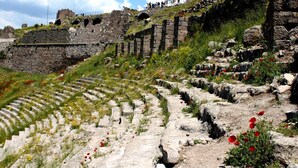 Ancient ruins with stone steps and scattered red flowers. - Ayvazali Hotel (Bergama)