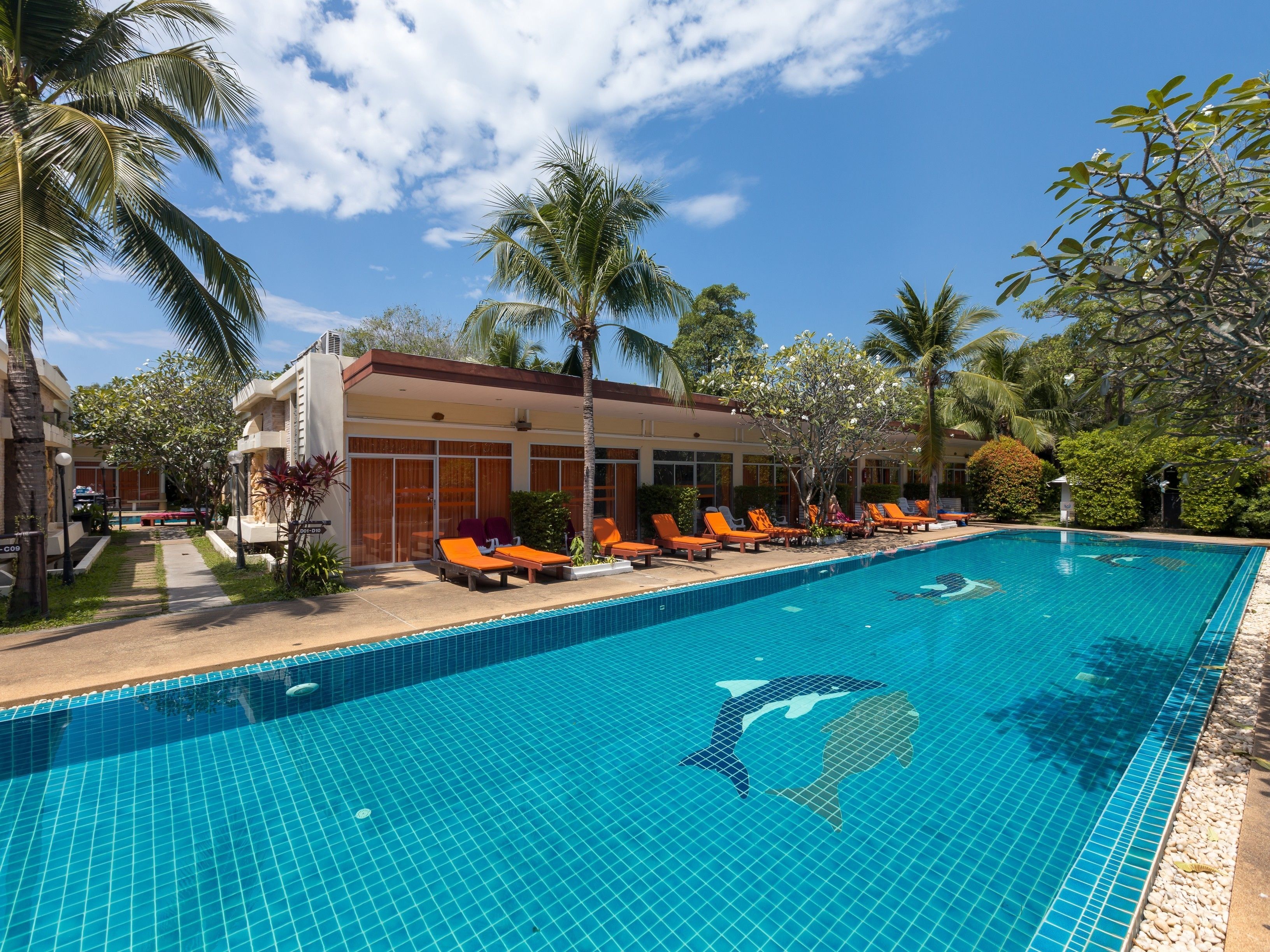 Una piscina con un mural de delfines, rodeada de sillas de descanso y palmeras.