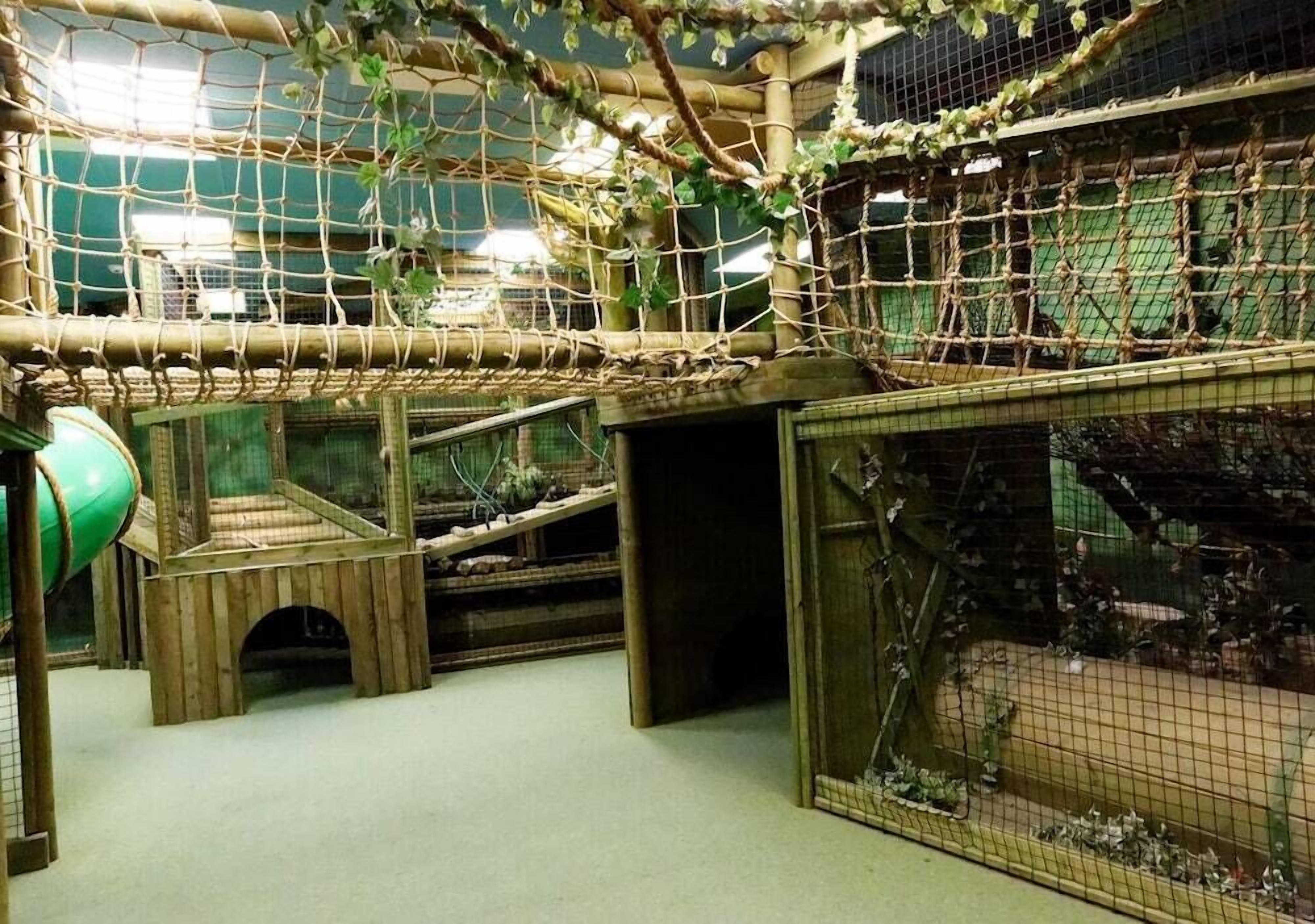 An indoor play area with wooden structures, rope bridges, and a netted enclosure.