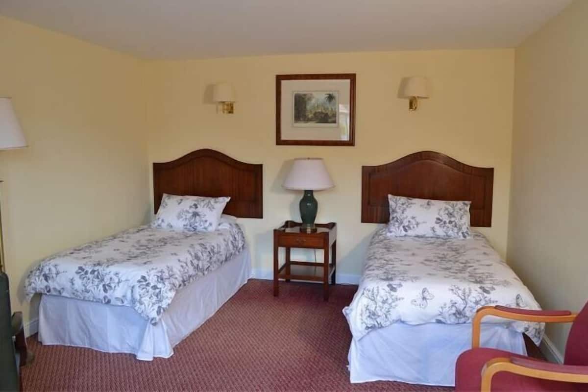 Quarto de hotel com duas camas de solteiro, uma pequena mesa com abajur, uma cadeira e um quadro na parede.