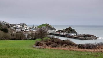 A coastal town with a pier extending into the sea, surrounded by greenery and buildings.