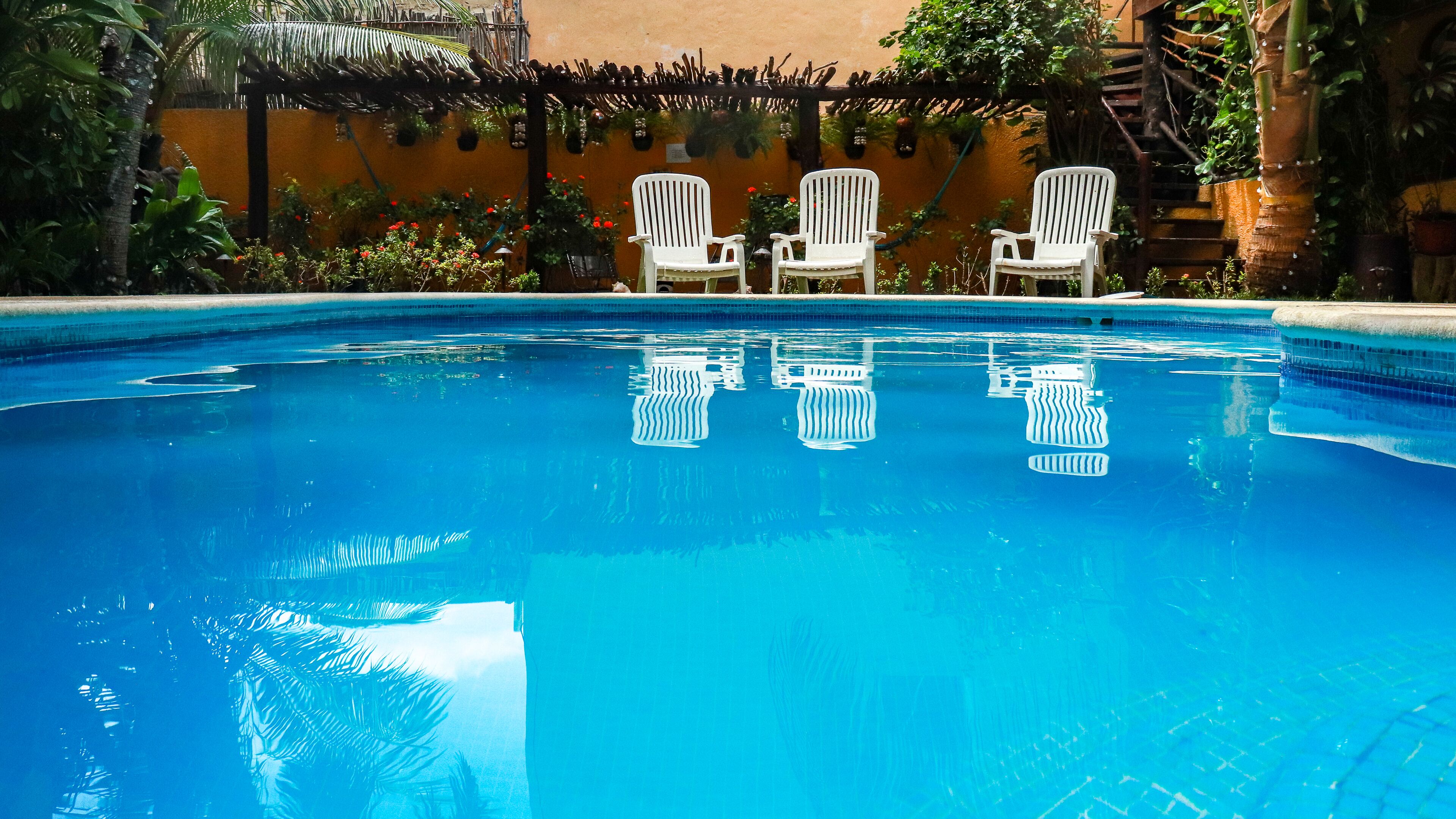 Foto - Hotel Bosque Caribe , 5th Av Zone