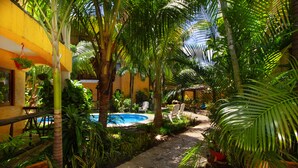 Un espace piscine entouré d’une végétation luxuriante et de palmiers, avec une piscine à l’eau cristalline et un chemin menant à un espace détente.