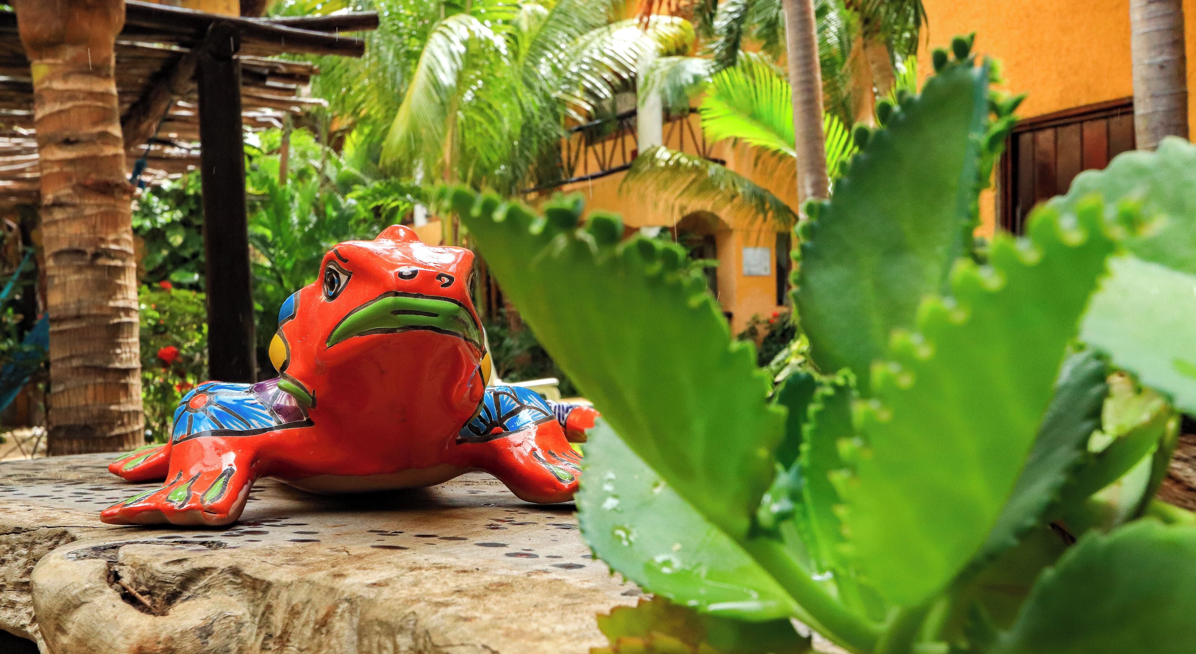 Foto - Hotel Bosque Caribe, 5th Av. zone