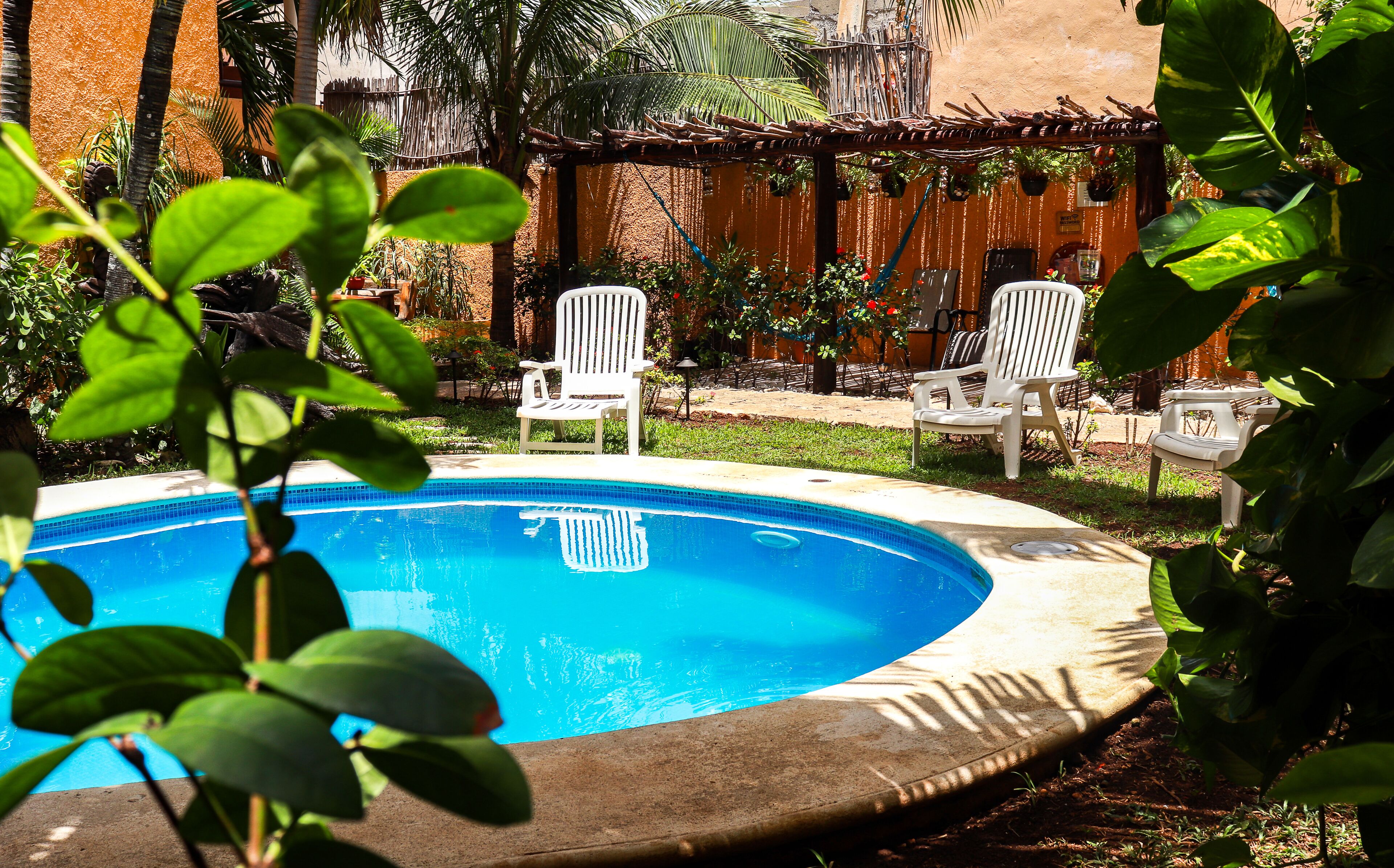 Outdoor pool, open 8:00 AM to 9:00 PM, sun loungers